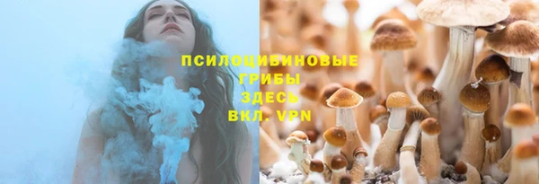 герыч Алзамай